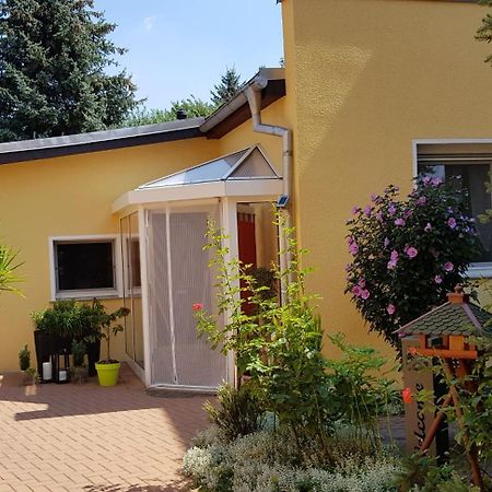 Ferienhaus Koehler Wittenberg Extérieur photo